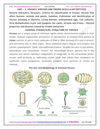 PROF. BALASUBRAMANIAN SATHYAMURTHY 2014 EDITION BTH – 103: GENERAL MICROBIOLOGY
Contact for your free pdf & job opportunities theimprintbiochemistry@gmail.com or 9986290201 Page 114 of 218
UNIT – 4: VIRUSES, VIRIOIDS AND PRIONS (ACELLULAR ENTITIES)
General characters, Structure, Criteria for classification of Viruses, Viruses that
affect humans, animals and plants, Isolation, Cultivation and identification of
Viruses (Growing in Bacteria, Living Animals, embryonated eggs, Cell cultures).
Viral Multiplication (Lytic and lysogenic life cycle), Virioids and Prions – General
properties and diseases caused by virioids and prions.
GENERAL CHARACTERS, STRUCTURE OF VIRUSES
Viruses are a unique group of infectious agents whose distinctiveness resides in their
simple, acellular organization and pattern of reproduction. A complete virus particle or
virion consists of one or more molecules of DNA or RNA enclosed in a coat of protein,
and sometimes also in other layers. These additional layers may be very complex and
contain carbohydrates, lipids, and additional proteins. Viruses can exist in two phases:
extracellular and intracellular. Virions, the extracellular phase, possess few if any
enzymes and cannot reproduce independent of living cells. In the intracellular phase,
viruses exist primarily as replicating nucleic acids that induce host metabolism to
synthesize virion components; eventually complete virus particles or virions are
released.
The Size and Morphology of Selected Viruses
 