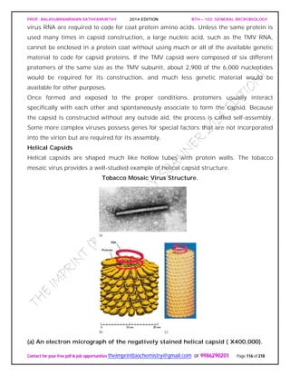 PROF. BALASUBRAMANIAN SATHYAMURTHY 2014 EDITION BTH – 103: GENERAL MICROBIOLOGY
Contact for your free pdf & job opportunities theimprintbiochemistry@gmail.com or 9986290201 Page 116 of 218
virus RNA are required to code for coat protein amino acids. Unless the same protein is
used many times in capsid construction, a large nucleic acid, such as the TMV RNA,
cannot be enclosed in a protein coat without using much or all of the available genetic
material to code for capsid proteins. If the TMV capsid were composed of six different
protomers of the same size as the TMV subunit, about 2,900 of the 6,000 nucleotides
would be required for its construction, and much less genetic material would be
available for other purposes.
Once formed and exposed to the proper conditions, protomers usually interact
specifically with each other and spontaneously associate to form the capsid. Because
the capsid is constructed without any outside aid, the process is called self-assembly.
Some more complex viruses possess genes for special factors that are not incorporated
into the virion but are required for its assembly.
Helical Capsids
Helical capsids are shaped much like hollow tubes with protein walls. The tobacco
mosaic virus provides a well-studied example of helical capsid structure.
Tobacco Mosaic Virus Structure.
(a) An electron micrograph of the negatively stained helical capsid ( X400,000).
 