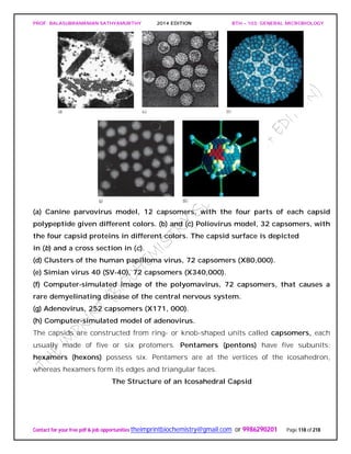 PROF. BALASUBRAMANIAN SATHYAMURTHY 2014 EDITION BTH – 103: GENERAL MICROBIOLOGY
Contact for your free pdf & job opportunities theimprintbiochemistry@gmail.com or 9986290201 Page 118 of 218
(a) Canine parvovirus model, 12 capsomers, with the four parts of each capsid
polypeptide given different colors. (b) and (c) Poliovirus model, 32 capsomers, with
the four capsid proteins in different colors. The capsid surface is depicted
in (b) and a cross section in (c).
(d) Clusters of the human papilloma virus, 72 capsomers (X80,000).
(e) Simian virus 40 (SV-40), 72 capsomers (X340,000).
(f) Computer-simulated image of the polyomavirus, 72 capsomers, that causes a
rare demyelinating disease of the central nervous system.
(g) Adenovirus, 252 capsomers (X171, 000).
(h) Computer-simulated model of adenovirus.
The capsids are constructed from ring- or knob-shaped units called capsomers, each
usually made of five or six protomers. Pentamers (pentons) have five subunits;
hexamers (hexons) possess six. Pentamers are at the vertices of the icosahedron,
whereas hexamers form its edges and triangular faces.
The Structure of an Icosahedral Capsid
 