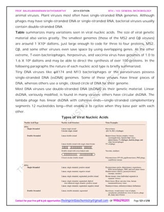 PROF. BALASUBRAMANIAN SATHYAMURTHY 2014 EDITION BTH – 103: GENERAL MICROBIOLOGY
Contact for your free pdf & job opportunities theimprintbiochemistry@gmail.com or 9986290201 Page 121 of 218
animal viruses. Plant viruses most often have single-stranded RNA genomes. Although
phages may have single-stranded DNA or single-stranded RNA, bacterial viruses usually
contain double-stranded DNA.
Table summarizes many variations seen in viral nucleic acids. The size of viral genetic
material also varies greatly. The smallest genomes (those of the MS2 and Qβ viruses)
are around 1 X106 daltons, just large enough to code for three to four proteins. MS2,
Qβ, and some other viruses even save space by using overlapping genes. At the other
extreme, T-even bacteriophages, herpesvirus, and vaccinia virus have genomes of 1.0 to
1.6 X 108 daltons and may be able to direct the synthesis of over 100 proteins. In the
following paragraphs the nature of each nucleic acid type is briefly summarized.
Tiny DNA viruses like φX174 and M13 bacteriophages or the parvoviruses possess
single-stranded DNA (ssDNA) genomes. Some of these viruses have linear pieces of
DNA, whereas others use a single, closed circle of DNA for their genome.
Most DNA viruses use double-stranded DNA (dsDNA) as their genetic material. Linear
dsDNA, variously modified, is found in many viruses; others have circular dsDNA. The
lambda phage has linear dsDNA with cohesive ends—single-stranded complementary
segments 12 nucleotides long—that enable it to cyclize when they base pair with each
other.
Types of Viral Nucleic Acids
 