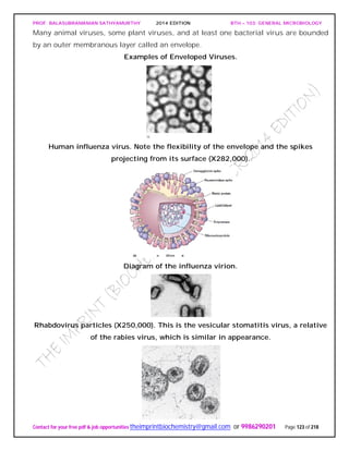 PROF. BALASUBRAMANIAN SATHYAMURTHY 2014 EDITION BTH – 103: GENERAL MICROBIOLOGY
Contact for your free pdf & job opportunities theimprintbiochemistry@gmail.com or 9986290201 Page 123 of 218
Many animal viruses, some plant viruses, and at least one bacterial virus are bounded
by an outer membranous layer called an envelope.
Examples of Enveloped Viruses.
Human influenza virus. Note the flexibility of the envelope and the spikes
projecting from its surface (X282,000).
Diagram of the influenza virion.
Rhabdovirus particles (X250,000). This is the vesicular stomatitis virus, a relative
of the rabies virus, which is similar in appearance.
 