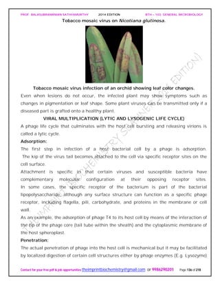 PROF. BALASUBRAMANIAN SATHYAMURTHY 2014 EDITION BTH – 103: GENERAL MICROBIOLOGY
Contact for your free pdf & job opportunities theimprintbiochemistry@gmail.com or 9986290201 Page 136 of 218
Tobacco mosaic virus on Nicotiana glutinosa.
Tobacco mosaic virus infection of an orchid showing leaf color changes.
Even when lesions do not occur, the infected plant may show symptoms such as
changes in pigmentation or leaf shape. Some plant viruses can be transmitted only if a
diseased part is grafted onto a healthy plant.
VIRAL MULTIPLICATION (LYTIC AND LYSOGENIC LIFE CYCLE)
A phage life cycle that culminates with the host cell bursting and releasing virions is
called a lytic cycle.
Adsorption:
The first step in infection of a host bacterial cell by a phage is adsorption.
The kip of the virus tail becomes attached to the cell via specific receptor sites on the
cell surface.
Attachment is specific in that certain viruses and susceptible bacteria have
complementary molecular configuration at their opposing receptor sites.
In some cases, the specific receptor of the bacterium is part of the bacterial
lipopolysaccharide, although any surface structure can function as a specific phage
receptor, including flagella, pili, carbohydrate, and proteins in the membrane or cell
wall.
As an example, the adsorption of phage T4 to its host cell by means of the interaction of
the tip of the phage core (tail tube within the sheath) and the cytoplasmic membrane of
the host spheroplast.
Penetration:
The actual penetration of phage into the host cell is mechanical but it may be facilitated
by localized digestion of certain cell structures either by phage enzymes (E.g. Lysozyme)
 