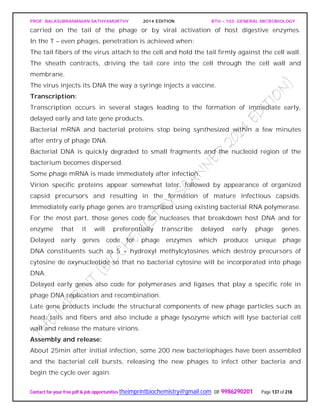 PROF. BALASUBRAMANIAN SATHYAMURTHY 2014 EDITION BTH – 103: GENERAL MICROBIOLOGY
Contact for your free pdf & job opportunities theimprintbiochemistry@gmail.com or 9986290201 Page 137 of 218
carried on the tail of the phage or by viral activation of host digestive enzymes.
In the T – even phages, penetration is achieved when:
The tail fibers of the virus attach to the cell and hold the tail firmly against the cell wall.
The sheath contracts, driving the tail core into the cell through the cell wall and
membrane.
The virus injects its DNA the way a syringe injects a vaccine.
Transcription:
Transcription occurs in several stages leading to the formation of immediate early,
delayed early and late gene products.
Bacterial mRNA and bacterial proteins stop being synthesized within a few minutes
after entry of phage DNA.
Bacterial DNA is quickly degraded to small fragments and the nucleoid region of the
bacterium becomes dispersed.
Some phage mRNA is made immediately after infection.
Virion specific proteins appear somewhat later, followed by appearance of organized
capsid precursors and resulting in the formation of mature infectious capsids.
Immediately early phage genes are transcribed using existing bacterial RNA polymerase.
For the most part, those genes code for nucleases that breakdown host DNA and for
enzyme that it will preferentially transcribe delayed early phage genes.
Delayed early genes code for phage enzymes which produce unique phage
DNA constituents such as 5 – hydroxyl methylcytosines which destroy precursors of
cytosine de oxynucleotide so that no bacterial cytosine will be incorporated into phage
DNA.
Delayed early genes also code for polymerases and ligases that play a specific role in
phage DNA replication and recombination.
Late gene products include the structural components of new phage particles such as
head, tails and fibers and also include a phage lysozyme which will lyse bacterial cell
wall and release the mature virions.
Assembly and release:
About 25min after initial infection, some 200 new bacteriophages have been assembled
and the bacterial cell bursts, releasing the new phages to infect other bacteria and
begin the cycle over again.
 