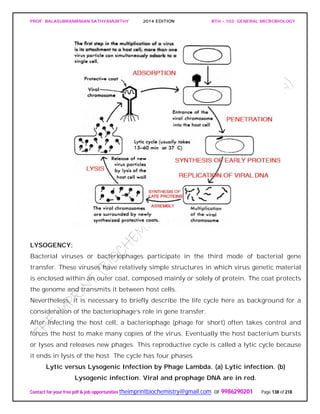 PROF. BALASUBRAMANIAN SATHYAMURTHY 2014 EDITION BTH – 103: GENERAL MICROBIOLOGY
Contact for your free pdf & job opportunities theimprintbiochemistry@gmail.com or 9986290201 Page 138 of 218
LYSOGENCY:
Bacterial viruses or bacteriophages participate in the third mode of bacterial gene
transfer. These viruses have relatively simple structures in which virus genetic material
is enclosed within an outer coat, composed mainly or solely of protein. The coat protects
the genome and transmits it between host cells.
Nevertheless, it is necessary to briefly describe the life cycle here as background for a
consideration of the bacteriophage’s role in gene transfer.
After infecting the host cell, a bacteriophage (phage for short) often takes control and
forces the host to make many copies of the virus. Eventually the host bacterium bursts
or lyses and releases new phages. This reproductive cycle is called a lytic cycle because
it ends in lysis of the host. The cycle has four phases
Lytic versus Lysogenic Infection by Phage Lambda. (a) Lytic infection. (b)
Lysogenic infection. Viral and prophage DNA are in red.
 