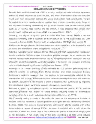 PROF. BALASUBRAMANIAN SATHYAMURTHY 2014 EDITION BTH – 103: GENERAL MICROBIOLOGY
Contact for your free pdf & job opportunities theimprintbiochemistry@gmail.com or 9986290201 Page 143 of 218
DISEASES CAUSED BY VIRIOIDS
Despite their small size and lack of Mrna activity, viroids can induce disease symptoms
similar to those induced by plant viruses, and their interference with cell functions
must stem from interaction between the viroid and certain host constituents. Targets
for such interactions may be assigned to either host proteins or nucleic acids. Based on
the sequence similarity between (+) and (–) viroid strands and various cellular RNAs
such as U1 snRNA, U3B snRNA and U5 snRNA, it was proposed that viroids may
interfere with mRNA splicing or pre-rRNA processing (Diener, 1987).
Similarly, the signal recognition particle (SRP) RNA from tomato shows a notable
sequence similarity with a fragment of the P domain of PSTVd (nucleotides 277–309;
reviewed in Diener, 2001). Together with six polypeptides, SRP RNA (also termed 7S
RNA) forms the cytoplasmic SRP directing membrane-bound and soluble proteins into
or across the membranes of the endoplasmic reticulum.
Potential hybrid formation between PSTVd RNA and SRP RNA suggests that viroids may
interfere with the SRP-dependent intracellular protein transport in an ‘antisense- like’
manner. It was shown that PSTVd binds to a 43 kDa protein present in nuclear extracts
of healthy and infected plants. A similar complex is formed in vivo in nuclei of infected
cells but its biological significance is still unclear (Diener, 2001).
Hiddinga et al. (1988) identified a host-encoded 68 kDa protein phosphorylated to
different extents in extracts from PSTVd-infected and mock-inoculated tissues.
Preliminary evidence suggests that the protein is immunologically related to the
mammalian P68 protein, a serine/threonine kinase induced by interferon and activated
by dsRNA. Activation of P68 triggers a chain of reactions that culminates by impeding
the initiation of protein synthesis. In an in vitro system, mammalian
P68 was activated by autophosphorylation in the presence of purified PSTVd and the
activation potential was higher for viroid strains inducing severe or intermediate
symptoms than for a strain inducing mild symptoms (Diener et al., 1993).
More recently during a study of the molecular basis of the response of tomato cv.
Rutgers to PSTVd infection, a specific protein kinase gene pkv was identified (Hammond
& Zhao, 2000). This gene is transcriptionally activated in plants infected with either
intermediate or severe strains of PSTVd. In plants inoculated with a mild strain the
activation is lower and in the case of mock-inoculated plants activation of the pkv gene
is not detectable. A full-length copy of this gene encoding a 55 kDa viroid-induced
 