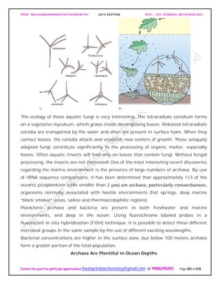 PROF. BALASUBRAMANIAN SATHYAMURTHY 2014 EDITION BTH – 103: GENERAL MICROBIOLOGY
Contact for your free pdf & job opportunities theimprintbiochemistry@gmail.com or 9986290201 Page 201 of 218
The ecology of these aquatic fungi is very interesting. The tetraradiate conidium forms
on a vegetative mycelium, which grows inside decomposing leaves. Released tetraradiate
conidia are transported by the water and often are present in surface foam. When they
contact leaves, the conidia attach and establish new centers of growth. These uniquely
adapted fungi contribute significantly to the processing of organic matter, especially
leaves. Often aquatic insects will feed only on leaves that contain fungi. Without fungal
processing, the insects are not interested! One of the most interesting recent discoveries
regarding the marine environment is the presence of large numbers of archaea. By use
of rRNA sequence comparisons, it has been determined that approximately 1/3 of the
oceanic picoplankton (cells smaller than 2 μm) are archaea, particularly crenarchaeans,
organisms normally associated with hostile environments (hot springs, deep marine
“black smoker” areas, saline and thermoacidophilic regions).
Planktonic archaea and bacteria are present in both freshwater and marine
environments, and deep in the ocean. Using fluorochrome labeled probes in a
fluorescent in situ hybridization (FISH) technique, it is possible to detect these different
microbial groups in the same sample by the use of different exciting wavelengths.
Bacterial concentrations are higher in the surface zone, but below 100 meters archaea
form a greater portion of the total population.
Archaea Are Plentiful in Ocean Depths
 