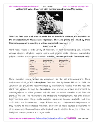 PROF. BALASUBRAMANIAN SATHYAMURTHY 2014 EDITION BTH – 103: GENERAL MICROBIOLOGY
Contact for your free pdf & job opportunities theimprintbiochemistry@gmail.com or 9986290201 Page 213 of 218
A Desert Crust as Observed with the Scanning Electron Microscope.
The crust has been disturbed to show the extracellular sheaths and filaments of
the cyanobacterium Microcoleus vaginatus. The sand grains are linked by these
filamentous growths, creating a unique ecological structure.
RHIZOSHERE
Plant roots release a wide variety of materials to their surrounding soil, including
various alcohols, ethylene, sugars, amino and organic acids, vitamins, nucleotides,
polysaccharides, and enzymes as shown in table ( microorganism in free wheat root)
These materials create unique en vironments for the soil microorganisms. These
environments include the rhizosphere, first described by Lorenz Hiltner in 1904, the
volume of soil around the root influenced by the materials released from the root. The
plant root surface, termed the rhizoplane, also provides a unique environment for
microorganisms, as these gaseous, soluble, and particulate materials move from the
plant to the soil. The rhizosphere and rhizoplane microorganisms not only increase
their numbers when these newly available substrates become available, but their
composition and function also change. Rhizosphere and rhizoplane microorganisms, as
they respond to these released materials, also serve as labile sources of nutrients for
other organisms, thus creating a soil microbial loop in addition to playing critical roles
in organic matter synthesis and degradation.
 