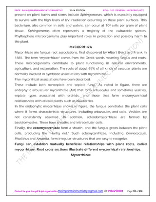 PROF. BALASUBRAMANIAN SATHYAMURTHY 2014 EDITION BTH – 103: GENERAL MICROBIOLOGY
Contact for your free pdf & job opportunities theimprintbiochemistry@gmail.com or 9986290201 Page 215 of 218
present on plant leaves and stems include Sphingomonas, which is especially equipped
to survive with the high levels of UV irradiation occurring on these plant surfaces. This
bacterium, also common in soils and waters, can occur at 108 cells per gram of plant
tissue. Sphingomonas often represents a majority of the culturable species.
Phyllosphere microorganisms play important roles in protection and possibly harm to
the plant.
MYCORRHIZA
Mycorrhizae are fungus-root associations, first discovered by Albert Bernhard Frank in
1885. The term “mycorrhizae” comes from the Greek words meaning fungus and roots.
These microorganisms contribute to plant functioning in natural environments,
agriculture, and reclamation. The roots of about 95% of all kinds of vascular plants are
normally involved in symbiotic associations with mycorrhizae.
Five mycorrhizal associations have been described.
These include both nonseptate and septate fungi. As noted in figure, there are
endophytic arbuscular mycorrhizae (AM) that form arbuscules and sometimes vesicles,
septate types associated with orchids, and those that form endomycorrhizal
relationships with ericoid plants such as blueberries.
In the endophytic mycorrhizae shown in figure, the fungus penetrates the plant cells
where it forms characteristic structures, including arbuscules and coils. Vesicles are
not consistently observed. In addition, ectendomycorrhizae are formed by
basidiomycetes. These have sheaths and intracellular coils.
Finally, the ectomycorrhizae form a sheath, and the fungus grows between the plant
cells, producing the “Hartig net.” Such ectomycorrhizae, including Cennococcum,
Pisolithus and Amanita, form irregular structures that are easy to recognize.
Fungi can establish mutually beneficial relationships with plant roots, called
mycorrhizae. Root cross sections illustrate different mycorrhizal relationships.
Mycorrhizae
 