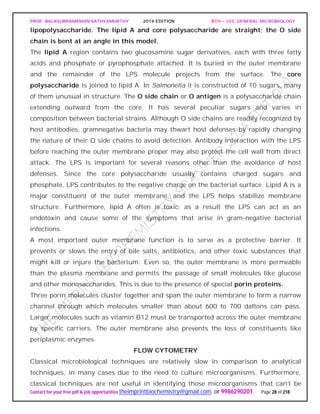 PROF. BALASUBRAMANIAN SATHYAMURTHY 2014 EDITION BTH – 103: GENERAL MICROBIOLOGY
Contact for your free pdf & job opportunities theimprintbiochemistry@gmail.com or 9986290201 Page 28 of 218
lipopolysaccharide. The lipid A and core polysaccharide are straight; the O side
chain is bent at an angle in this model.
The lipid A region contains two glucosamine sugar derivatives, each with three fatty
acids and phosphate or pyrophosphate attached. It is buried in the outer membrane
and the remainder of the LPS molecule projects from the surface. The core
polysaccharide is joined to lipid A. In Salmonella it is constructed of 10 sugars, many
of them unusual in structure. The O side chain or O antigen is a polysaccharide chain
extending outward from the core. It has several peculiar sugars and varies in
composition between bacterial strains. Although O side chains are readily recognized by
host antibodies, gramnegative bacteria may thwart host defenses by rapidly changing
the nature of their O side chains to avoid detection. Antibody interaction with the LPS
before reaching the outer membrane proper may also protect the cell wall from direct
attack. The LPS is important for several reasons other than the avoidance of host
defenses. Since the core polysaccharide usually contains charged sugars and
phosphate, LPS contributes to the negative charge on the bacterial surface. Lipid A is a
major constituent of the outer membrane, and the LPS helps stabilize membrane
structure. Furthermore, lipid A often is toxic; as a result the LPS can act as an
endotoxin and cause some of the symptoms that arise in gram-negative bacterial
infections.
A most important outer membrane function is to serve as a protective barrier. It
prevents or slows the entry of bile salts, antibiotics, and other toxic substances that
might kill or injure the bacterium. Even so, the outer membrane is more permeable
than the plasma membrane and permits the passage of small molecules like glucose
and other monosaccharides. This is due to the presence of special porin proteins.
Three porin molecules cluster together and span the outer membrane to form a narrow
channel through which molecules smaller than about 600 to 700 daltons can pass.
Larger molecules such as vitamin B12 must be transported across the outer membrane
by specific carriers. The outer membrane also prevents the loss of constituents like
periplasmic enzymes.
FLOW CYTOMETRY
Classical microbiological techniques are relatively slow in comparison to analytical
techniques, in many cases due to the need to culture microorganisms. Furthermore,
classical techniques are not useful in identifying those microorganisms that can’t be
 