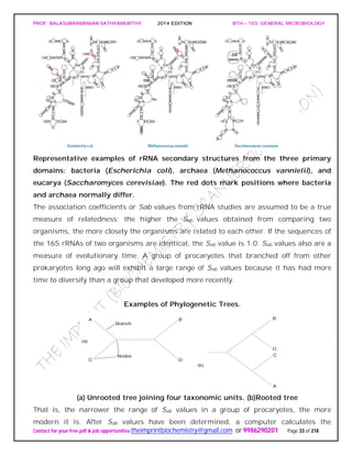 PROF. BALASUBRAMANIAN SATHYAMURTHY 2014 EDITION BTH – 103: GENERAL MICROBIOLOGY
Contact for your free pdf & job opportunities theimprintbiochemistry@gmail.com or 9986290201 Page 33 of 218
Representative examples of rRNA secondary structures from the three primary
domains: bacteria (Escherichia coli), archaea (Methanococcus vannielii), and
eucarya (Saccharomyces cerevisiae). The red dots mark positions where bacteria
and archaea normally differ.
The association coefficients or Sab values from rRNA studies are assumed to be a true
measure of relatedness; the higher the Sab values obtained from comparing two
organisms, the more closely the organisms are related to each other. If the sequences of
the 16S rRNAs of two organisms are identical, the Sab value is 1.0. Sab values also are a
measure of evolutionary time. A group of procaryotes that branched off from other
prokaryotes long ago will exhibit a large range of Sab values because it has had more
time to diversify than a group that developed more recently.
Examples of Phylogenetic Trees.
(a) Unrooted tree joining four taxonomic units. (b)Rooted tree
That is, the narrower the range of Sab values in a group of procaryotes, the more
modern it is. After Sab values have been determined, a computer calculates the
 