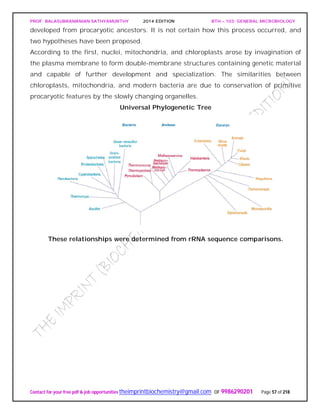 PROF. BALASUBRAMANIAN SATHYAMURTHY 2014 EDITION BTH – 103: GENERAL MICROBIOLOGY
Contact for your free pdf & job opportunities theimprintbiochemistry@gmail.com or 9986290201 Page 57 of 218
developed from procaryotic ancestors. It is not certain how this process occurred, and
two hypotheses have been proposed.
According to the first, nuclei, mitochondria, and chloroplasts arose by invagination of
the plasma membrane to form double-membrane structures containing genetic material
and capable of further development and specialization. The similarities between
chloroplasts, mitochondria, and modern bacteria are due to conservation of primitive
procaryotic features by the slowly changing organelles.
Universal Phylogenetic Tree
These relationships were determined from rRNA sequence comparisons.
 