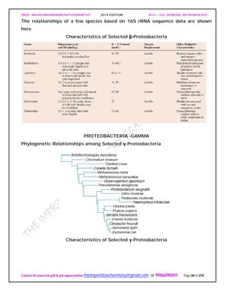 PROF. BALASUBRAMANIAN SATHYAMURTHY 2014 EDITION BTH – 103: GENERAL MICROBIOLOGY
Contact for your free pdf & job opportunities theimprintbiochemistry@gmail.com or 9986290201 Page 60 of 218
The relationships of a few species based on 16S rRNA sequence data are shown
here
Characteristics of Selected β-Proteobacteria
PROTEOBACTERIA -GAMMA
Phylogenetic Relationships among Selected γ-Proteobacteria
Characteristics of Selected γ-Proteobacteria
 