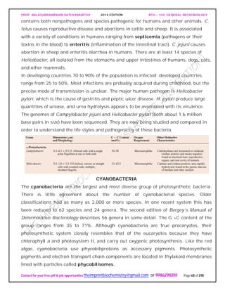 PROF. BALASUBRAMANIAN SATHYAMURTHY 2014 EDITION BTH – 103: GENERAL MICROBIOLOGY
Contact for your free pdf & job opportunities theimprintbiochemistry@gmail.com or 9986290201 Page 63 of 218
contains both nonpathogens and species pathogenic for humans and other animals. C.
fetus causes reproductive disease and abortions in cattle and sheep. It is associated
with a variety of conditions in humans ranging from septicemia (pathogens or their
toxins in the blood) to enteritis (inflammation of the intestinal tract). C. jejuni causes
abortion in sheep and enteritis diarrhea in humans. There are at least 14 species of
Helicobacter, all isolated from the stomachs and upper intestines of humans, dogs, cats,
and other mammals.
In developing countries 70 to 90% of the population is infected; developed countries
range from 25 to 50%. Most infections are probably acquired during childhood, but the
precise mode of transmission is unclear. The major human pathogen is Helicobacter
pylori, which is the cause of gastritis and peptic ulcer disease. H. pylori produce large
quantities of urease, and urea hydrolysis appears to be associated with its virulence.
The genomes of Campylobacter jejuni and Helicobacter pylori (both about 1.6 million
base pairs in size) have been sequenced. They are now being studied and compared in
order to understand the life styles and pathogenicity of these bacteria.
CYANOBACTERIA
The cyanobacteria are the largest and most diverse group of photosynthetic bacteria.
There is little agreement about the number of cyanobacterial species. Older
classifications had as many as 2,000 or more species. In one recent system this has
been reduced to 62 species and 24 genera. The second edition of Bergey’s Manual of
Determinative Bacteriology describes 56 genera in some detail. The G +C content of the
group ranges from 35 to 71%. Although cyanobacteria are true procaryotes, their
photosynthetic system closely resembles that of the eucaryotes because they have
chlorophyll a and photosystem II, and carry out oxygenic photosynthesis. Like the red
algae, cyanobacteria use phycobiliproteins as accessory pigments. Photosynthetic
pigments and electron transport chain components are located in thylakoid membranes
lined with particles called phycobilisomes.
 