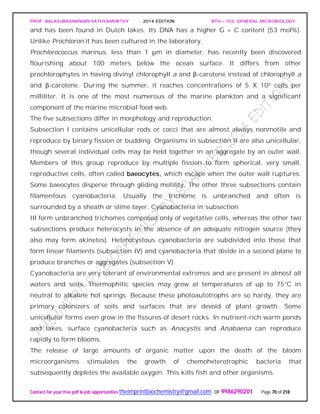 PROF. BALASUBRAMANIAN SATHYAMURTHY 2014 EDITION BTH – 103: GENERAL MICROBIOLOGY
Contact for your free pdf & job opportunities theimprintbiochemistry@gmail.com or 9986290201 Page 70 of 218
and has been found in Dutch lakes. Its DNA has a higher G + C content (53 mol%).
Unlike Prochloron it has been cultured in the laboratory.
Prochlorococcus marinus, less than 1 μm in diameter, has recently been discovered
flourishing about 100 meters below the ocean surface. It differs from other
prochlorophytes in having divinyl chlorophyll a and β-carotene instead of chlorophyll a
and β-carotene. During the summer, it reaches concentrations of 5 X 105 cells per
milliliter. It is one of the most numerous of the marine plankton and a significant
component of the marine microbial food web.
The five subsections differ in morphology and reproduction.
Subsection I contains unicellular rods or cocci that are almost always nonmotile and
reproduce by binary fission or budding. Organisms in subsection II are also unicellular,
though several individual cells may be held together in an aggregate by an outer wall.
Members of this group reproduce by multiple fission to form spherical, very small,
reproductive cells, often called baeocytes, which escape when the outer wall ruptures.
Some baeocytes disperse through gliding motility. The other three subsections contain
filamentous cyanobacteria. Usually the trichome is unbranched and often is
surrounded by a sheath or slime layer. Cyanobacteria in subsection
III form unbranched trichomes composed only of vegetative cells, whereas the other two
subsections produce heterocysts in the absence of an adequate nitrogen source (they
also may form akinetes). Heterocystous cyanobacteria are subdivided into those that
form linear filaments (subsection IV) and cyanobacteria that divide in a second plane to
produce branches or aggregates (subsection V).
Cyanobacteria are very tolerant of environmental extremes and are present in almost all
waters and soils. Thermophilic species may grow at temperatures of up to 75°C in
neutral to alkaline hot springs. Because these photoautotrophs are so hardy, they are
primary colonizers of soils and surfaces that are devoid of plant growth. Some
unicellular forms even grow in the fissures of desert rocks. In nutrient-rich warm ponds
and lakes, surface cyanobacteria such as Anacystis and Anabaena can reproduce
rapidly to form blooms.
The release of large amounts of organic matter upon the death of the bloom
microorganisms stimulates the growth of chemoheterotrophic bacteria that
subsequently depletes the available oxygen. This kills fish and other organisms.
 