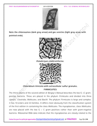 PROF. BALASUBRAMANIAN SATHYAMURTHY 2014 EDITION BTH – 103: GENERAL MICROBIOLOGY
Contact for your free pdf & job opportunities theimprintbiochemistry@gmail.com or 9986290201 Page 72 of 218
Note the chlorosomes (dark gray areas) and gas vesicles (light gray areas with
pointed ends).
Pelodictyon clathratiforme.
Chlorobium limicola with extracellular sulfur granules.
FIRMICUTES
The third volume of the second edition of Bergey’s Manual describes the low G +C gram-
positive bacteria. These are placed in the phylum Firmicutes and divided into three
classes: Clostridia, Mollicutes, and Bacilli. The phylum Firmicutes is large and complex;
it has 10 orders and 33 families. It differs most obviously from the classification system
of the first edition in containing the class Mollicutes. The mycoplasmas, class Mollicutes,
are now placed with the low G + C gram positives rather than with gram-negative
bacteria. Ribosomal RNA data indicate that the mycoplasmas are closely related to the
 