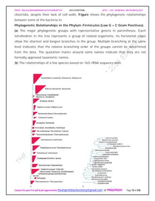 PROF. BALASUBRAMANIAN SATHYAMURTHY 2014 EDITION BTH – 103: GENERAL MICROBIOLOGY
Contact for your free pdf & job opportunities theimprintbiochemistry@gmail.com or 9986290201 Page 73 of 218
clostridia, despite their lack of cell walls. Figure shows the phylogenetic relationships
between some of the bacteria in.
Phylogenetic Relationships in the Phylum Firmicutes (Low G + C Gram Positives).
(a) The major phylogenetic groups with representative genera in parentheses. Each
tetrahedron in the tree represents a group of related organisms; its horizontal edges
show the shortest and longest branches in the group. Multiple branching at the same
level indicates that the relative branching order of the groups cannot be determined
from the data. The quotation marks around some names indicate that they are not
formally approved taxonomic names.
(b) The relationships of a few species based on 16S rRNA sequence date.
 