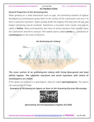 PROF. BALASUBRAMANIAN SATHYAMURTHY 2014 EDITION BTH – 103: GENERAL MICROBIOLOGY
Contact for your free pdf & job opportunities theimprintbiochemistry@gmail.com or 9986290201 Page 75 of 218
ACTINOBACTERIA
General Properties of the Actinomycetes
When growing on a solid substratum such as agar, the branching network of hyphae
developed by actinomycetes grows both on the surface of the substratum and into it to
form a substrate mycelium. Septa usually divide the hyphae into long cells (20 μm and
longer) containing several nucleoids. Sometimes a tissuelike mass results and may be
called a thallus. Many actinomycetes also have an aerial mycelium that extends above
the substratum and forms asexual, thin-walled spores called conidia [s., conidium] or
conidiospores on the ends of filaments.
An Actinomycete Colony.
The cross section of an actinomycete colony with living (blue-green) and dead
(white) hyphae. The substrate mycelium and aerial mycelium with chains of
conidiospores are shown.
If the spores are located in a sporangium, they are called sporangiospores. The spores
can vary greatly in shape.
Examples of Actinomycete Spores as Seen in the Scanning Electron Microscope.
Sporulating Saccharopolyspora hyphae (X3,000).
 