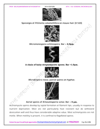 PROF. BALASUBRAMANIAN SATHYAMURTHY 2014 EDITION BTH – 103: GENERAL MICROBIOLOGY
Contact for your free pdf & job opportunities theimprintbiochemistry@gmail.com or 9986290201 Page 76 of 218
Sporangia of Pilimelia columellifera on mouse hair (X 520)
Micromonospora echinospora. Bar = 0.5μm.
A chain of hairy streptomycete spores. Bar =1.0μm.
Microbispora rosea, paired spores on hyphae.
Aerial spores of Kitasatosporia setae. Bar = 5 μm.
Actinomycete spores develop by septal formation at filament tips, usually in response to
nutrient deprivation. Most are not particularly heat resistant but do withstand
desiccation well and thus have considerable adaptive value. Most actinomycetes are not
motile. When motility is present, it is confined to flagellated spores.
 