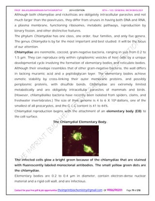 PROF. BALASUBRAMANIAN SATHYAMURTHY 2014 EDITION BTH – 103: GENERAL MICROBIOLOGY
Contact for your free pdf & job opportunities theimprintbiochemistry@gmail.com or 9986290201 Page 79 of 218
Although both chlamydiae and rickettsias are obligately intracellular parasites and not
much larger than the poxviruses, they differ from viruses in having both DNA and RNA,
a plasma membrane, functioning ribosomes, metabolic pathways, reproduction by
binary fission, and other distinctive features.
The phylum Chlamydiae has one class, one order, four families, and only five genera.
The genus Chlamydia is by far the most important and best studied; it will be the focus
of our attention.
Chlamydiae are nonmotile, coccoid, gram-negative bacteria, ranging in size from 0.2 to
1.5 μm. They can reproduce only within cytoplasmic vesicles of host cells by a unique
developmental cycle involving the formation of elementary bodies and reticulate bodies.
Although their envelope resembles that of other gram-negative bacteria, the wall differs
in lacking muramic acid and a peptidoglycan layer. The elementary bodies achieve
osmotic stability by cross-linking their outer membrane proteins, and possibly
periplasmic proteins, with disulfide bonds. Chlamydiae are extremely limited
metabolically and are obligately intracellular parasites of mammals and birds.
(However, chlamydialike bacteria have recently been isolated from spiders, clams, and
freshwater invertebrates.) The size of their genome is 4 to 6 X 108 daltons, one of the
smallest of all procaryotes, and the G + C content is 41 to 44%.
Chlamydial reproduction begins with the attachment of an elementary body (EB) to
the cell surface.
The Chlamydial Elementary Body.
The infected cells glow a bright green because of the chlamydiae that are stained
with fluorescently labeled monoclonal antibodies. The small yellow green dots are
the chlamydiae.
Elementary bodies are 0.2 to 0.4 μm in diameter, contain electron-dense nuclear
material and a rigid cell wall, and are infectious.
 