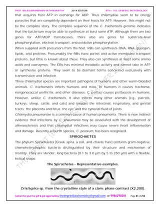 PROF. BALASUBRAMANIAN SATHYAMURTHY 2014 EDITION BTH – 103: GENERAL MICROBIOLOGY
Contact for your free pdf & job opportunities theimprintbiochemistry@gmail.com or 9986290201 Page 81 of 218
that acquires host ATP in exchange for ADP. Thus chlamydiae seem to be energy
parasites that are completely dependent on their hosts for ATP. However, this might not
be the complete story. The complete sequence of the C. trachomatis genome indicates
that the bacterium may be able to synthesize at least some ATP. Although there are two
genes for ATP/ADP translocases, there also are genes for substrate-level
phosphorylation, electron transport, and oxidative phosphorylation.
When supplied with precursors from the host, RBs can synthesize DNA, RNA, glycogen,
lipids, and proteins. Presumably the RBs have porins and active membrane transport
proteins, but little is known about these. They also can synthesize at least some amino
acids and coenzymes. The EBs has minimal metabolic activity and cannot take in ATP
or synthesize proteins. They seem to be dormant forms concerned exclusively with
transmission and infection.
Three chlamydial species are important pathogens of humans and other warm-blooded
animals. C. trachomatis infects humans and mice. In humans it causes trachoma,
nongonococcal urethritis, and other diseases. C. psittaci causes psittacosis in humans.
However, unlike C. trachomatis, it also infects many other animals (e.g., parrots,
turkeys, sheep, cattle, and cats) and invades the intestinal, respiratory, and genital
tracts; the placenta and fetus; the eye; and the synovial fluid of joints.
Chlamydia pneumoniae is a common cause of human pneumonia. There is now indirect
evidence that infections by C. pneumonia may be associated with the development of
atherosclerosis and that chlamydial infections may cause severe heart inflammation
and damage. Recently a fourth species, C. pecorum, has been recognized.
SPIROCHAETES
The phylum Spirochaetes [Greek spira, a coil, and chaete, hair] contains gram-negative,
chemoheterotrophic bacteria distinguished by their structure and mechanism of
motility. They are slender, long bacteria (0.1 to 3.0 μm by 5 to 250 μm) with a flexible,
helical shape.
The Spirochetes - Representative examples.
Cristispira sp. from the crystalline style of a clam; phase contrast (X2,200).
 