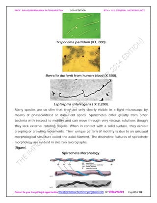 PROF. BALASUBRAMANIAN SATHYAMURTHY 2014 EDITION BTH – 103: GENERAL MICROBIOLOGY
Contact for your free pdf & job opportunities theimprintbiochemistry@gmail.com or 9986290201 Page 82 of 218
Treponema pallidum (X1, 000).
Borrelia duttonii from human blood (X 500).
Leptospira interrogans ( X 2,200).
Many species are so slim that they are only clearly visible in a light microscope by
means of phasecontrast or dark-field optics. Spirochetes differ greatly from other
bacteria with respect to motility and can move through very viscous solutions though
they lack external rotating flagella. When in contact with a solid surface, they exhibit
creeping or crawling movements. Their unique pattern of motility is due to an unusual
morphological structure called the axial filament. The distinctive features of spirochete
morphology are evident in electron micrographs.
(figure).
Spirochete Morphology.
 