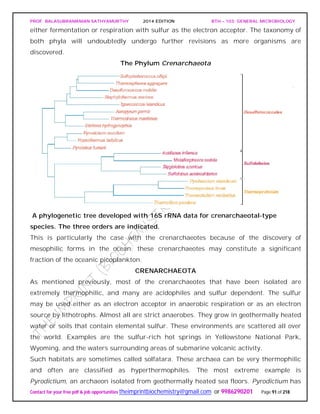 PROF. BALASUBRAMANIAN SATHYAMURTHY 2014 EDITION BTH – 103: GENERAL MICROBIOLOGY
Contact for your free pdf & job opportunities theimprintbiochemistry@gmail.com or 9986290201 Page 91 of 218
either fermentation or respiration with sulfur as the electron acceptor. The taxonomy of
both phyla will undoubtedly undergo further revisions as more organisms are
discovered.
The Phylum Crenarchaeota
A phylogenetic tree developed with 16S rRNA data for crenarchaeotal-type
species. The three orders are indicated.
This is particularly the case with the crenarchaeotes because of the discovery of
mesophilic forms in the ocean; these crenarchaeotes may constitute a significant
fraction of the oceanic picoplankton.
CRENARCHAEOTA
As mentioned previously, most of the crenarchaeotes that have been isolated are
extremely thermophilic, and many are acidophiles and sulfur dependent. The sulfur
may be used either as an electron acceptor in anaerobic respiration or as an electron
source by lithotrophs. Almost all are strict anaerobes. They grow in geothermally heated
water or soils that contain elemental sulfur. These environments are scattered all over
the world. Examples are the sulfur-rich hot springs in Yellowstone National Park,
Wyoming, and the waters surrounding areas of submarine volcanic activity.
Such habitats are sometimes called solfatara. These archaea can be very thermophilic
and often are classified as hyperthermophiles. The most extreme example is
Pyrodictium, an archaeon isolated from geothermally heated sea floors. Pyrodictium has
 