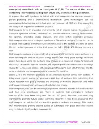 PROF. BALASUBRAMANIAN SATHYAMURTHY 2014 EDITION BTH – 103: GENERAL MICROBIOLOGY
Contact for your free pdf & job opportunities theimprintbiochemistry@gmail.com or 9986290201 Page 97 of 218
mercaptoethanesulfonic acid or coenzyme M (CoM). The nature of the carbon-
containing intermediates leading from CO2 to CH4 are indicated in parentheses.
It appears that ATP synthesis is linked with methanogenesis by electron transport,
proton pumping, and a chemiosmotic mechanism. Some methanogens can live
autotrophically by forming acetyl-CoA from two molecules of CO2 and then converting
the acetyl-CoA to pyruvate and other products.
Methanogens thrive in anaerobic environments rich in organic matter: the rumen and
intestinal system of animals, freshwater and marine sediments, swamps and marshes,
hot springs, anaerobic sludge digesters, and even within anaerobic protozoa.
Methanogens often are of ecological significance. The rate of methane production can be
so great that bubbles of methane will sometimes rise to the surface of a lake or pond.
Rumen methanogens are so active that a cow can belch 200 to 400 liters of methane a
day.
Methanogenic archaea are potentially of great practical importance since methane is a
clean-burning fuel and an excellent energy source. For many years sewage treatment
plants have been using the methane they produce as a source of energy for heat and
electricity. Anaerobic digester microbes will degrade particulate wastes such as sewage
sludge to H2, CO2, and acetate. CO2-reducing methanogens form CH4 from CO2 and H2,
while aceticlastic methanogens cleave acetate to CO2 and CH4
(about 2/3 of the methane produced by an anaerobic digester comes from acetate). A
kilogram of organic matter can yield up to 600 liters of methane. It is quite likely that
future research will greatly increase the efficiency of methane production and make
methanogenesis an important source of pollution-free energy.
Methanogenesis also can be an ecological problem.Methane absorbs infrared radiation
and thus is a greenhouse gas. There is evidence that atmospheric methane
concentrations have been rising over the last 200 years. Methane production may
significantly promote future global warming. Recently it has been discovered that
methanogens can oxidize Fe0 and use it to produce methane and energy. This means
that methanogens growing around buried or submerged iron pipes and other objects
may contribute significantly to iron corrosion.
 