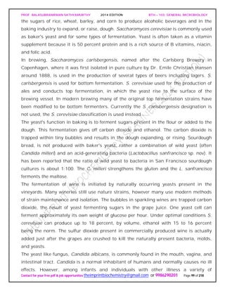 PROF. BALASUBRAMANIAN SATHYAMURTHY 2014 EDITION BTH – 103: GENERAL MICROBIOLOGY
Contact for your free pdf & job opportunities theimprintbiochemistry@gmail.com or 9986290201 Page 99 of 218
the sugars of rice, wheat, barley, and corn to produce alcoholic beverages and in the
baking industry to expand, or raise, dough. Saccharomyces cerevisiae is commonly used
as baker's yeast and for some types of fermentation. Yeast is often taken as a vitamin
supplement because it is 50 percent protein and is a rich source of B vitamins, niacin,
and folic acid.
In brewing, Saccharomyces carlsbergensis, named after the Carlsberg Brewery in
Copenhagen, where it was first isolated in pure culture by Dr. Emile Christian Hansen
around 1888, is used in the production of several types of beers including lagers. S.
carlsbergensis is used for bottom fermentation. S. cerevisiae used for the production of
ales and conducts top fermentation, in which the yeast rise to the surface of the
brewing vessel. In modern brewing many of the original top fermentation strains have
been modified to be bottom fermenters. Currently the S. carlsbergensis designation is
not used, the S. cerevisiae classification is used instead.
The yeast's function in baking is to ferment sugars present in the flour or added to the
dough. This fermentation gives off carbon dioxide and ethanol. The carbon dioxide is
trapped within tiny bubbles and results in the dough expanding, or rising. Sourdough
bread, is not produced with baker's yeast, rather a combination of wild yeast (often
Candida milleri) and an acid-generating bacteria (Lactobacillus sanfrancisco sp. nov). It
has been reported that the ratio of wild yeast to bacteria in San Francisco sourdough
cultures is about 1:100. The C. milleri strengthens the gluten and the L. sanfrancisco
ferments the maltose.
The fermentation of wine is initiated by naturally occurring yeasts present in the
vineyards. Many wineries still use nature strains, however many use modern methods
of strain maintenance and isolation. The bubbles in sparkling wines are trapped carbon
dioxide, the result of yeast fermenting sugars in the grape juice. One yeast cell can
ferment approximately its own weight of glucose per hour. Under optimal conditions S.
cerevisiae can produce up to 18 percent, by volume, ethanol with 15 to 16 percent
being the norm. The sulfur dioxide present in commercially produced wine is actually
added just after the grapes are crushed to kill the naturally present bacteria, molds,
and yeasts.
The yeast like fungus, Candida albicans, is commonly found in the mouth, vagina, and
intestinal tract. Candida is a normal inhabitant of humans and normally causes no ill
effects. However, among infants and individuals with other illness a variety of
 