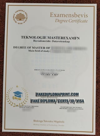 BTH degree.pdf