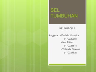 SEL
TUMBUHAN
KELOMPOK 2
Anggota : - Fadhila Humaira
(17032095)
- Nur Afifah
(17032161)
- Yolanda Pitaloka
(17032182)
 
