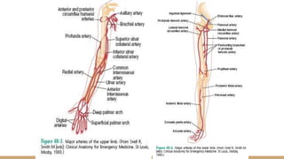 14 April 2016 Cedera Pembuluh Darah Perifer
 