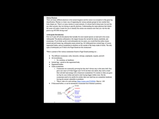 C U R R I C U L U M D E V E L O P M E N T
 