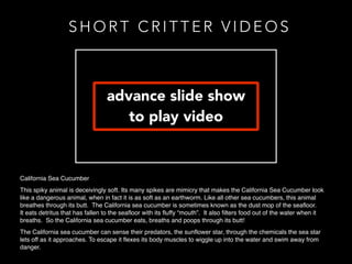 CRITTER ID VOICE OVER CONTENT
 