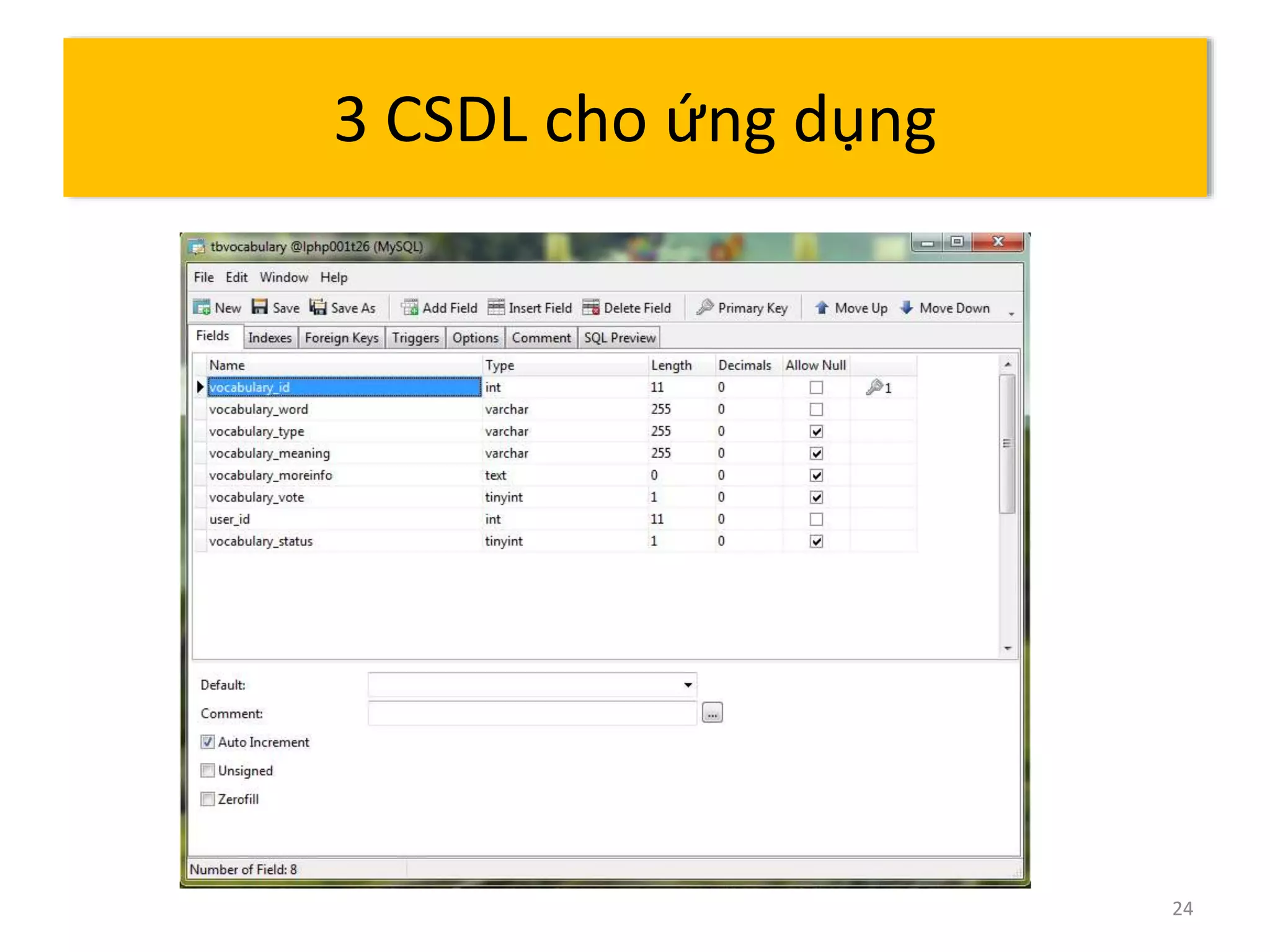 24 
3 CSDL cho ứng dụng 
 