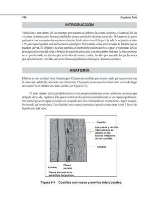 Capítulo Seis106
INTRODUCCIÓN
Veinticinco por ciento de las muertes por trauma se deben a lesiones de tórax, y la mitad de las
víctimas de trauma con lesiones múltiples tienen una lesión de tórax asociada. Dos tercios de estos
pacientescontraumatorácicopotencialmenteletalestánvivosalllegaralasaladeurgenciasysólo
15%deellosrequeriráunaintervenciónquirúrgica.Porlotanto,éstassonvíctimasdetraumaquese
pueden salvar. El objetivo de este capítulo es permitirle reconocer los signos y síntomas de las
principaleslesionesdetóraxybrindarlaatenciónadecuada.Lasprincipaleslesionesdetóraxpueden
ser el producto de accidentes por vehículos de motor, caídas, heridas por arma de fuego, lesiones
por aplastamiento, heridas por arma blanca (apuñalamiento) o por otros mecanismos.
ANATOMÍA
El tórax es una cavidad ósea formada por 12 pares de costillas que se unen en la parte posterior con
lacolumnavertebralyadelanteconelesternón.Elpaqueteneurovascularintercostalcorrealolargo
de la superficie inferior de cada costilla (ver Figura 6-1).
El lado interno de la cavidad torácica y los propios pulmones están cubiertos por una capa
delgada de tejido, la pleura. El espacio entre las dos pleuras normalmente es un espacio potencial.
Sin embargo, este espacio puede ser ocupado por aire, formando un neumotórax, o por sangre,
formando un hemotórax. En el adulto este espacio potencial puede almacenar hasta 3 litros de
líquido en cada lado.
Figura 6-1 Costillas con vasos y nervios intercostales.
 