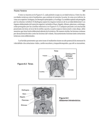 Trauma Torácico 107
Como se muestra en la Figura 6-2, cada pulmón ocupa su cavidad torácica. Entre las dos
cavidades torácicas está el mediastino, que contiene al corazón, la aorta, la vena cava inferior, la
venacavasuperior,latráquea,losbronquiosprincipalesyelesófago.Lamédulaespinalestáprotegida
por la columna vertebral. El diafragma separa los órganos torácicos de la cavidad abdominal. Los
órganosabdominalesdelaporciónsuperior,incluidoselbazo,hígado,riñones,páncreasyestómago,
están protegidos por las costillas inferiores (ver Figura 6-3). Cualquier paciente con una herida
penetrante de tórax al nivel de la tetilla o pezón, (cuarto espacio intercostal) o más abajo, debe
asumirsequetienelesiónabdominalademásdelatorácica.Demanerasimilar,laslesionescontusas
por desaceleración tales como las lesiones del volante, frecuentemente lesionan tanto estructuras
torácicascomoabdominales.
Las heridas penetrantes que atraviesan el mediastino tienen un alto potencial de amenazar la
vida debido a las estructuras vitales, cardiovasculares y traqueobronquiales, que ahí se encuentran.
Figura 6-3
Abdomen Intratorácico.
Figura 6-2 Tórax.
 
