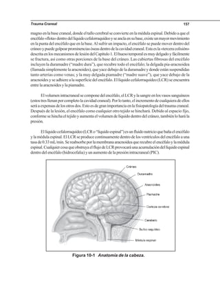 Trauma Craneal 157
magno en la base craneal, donde el tallo cerebral se convierte en la médula espinal. Debido a que el
encéfalo«flota»dentrodellíquidocefalorraquídeoyseanclaensubase,existeunmayormovimiento
en la punta del encéfalo que en la base.Al sufrir un impacto, el encéfalo se puede mover dentro del
cráneoypuedegolpearprominenciasóseasdentrodelacavidadcraneal.Estaesla«terceracolisión»
descritaenlosmecanismosdelesióndelCapítulo1.Elhuesotemporalesmuydelgadoyfácilmente
se fractura, así como otras porciones de la base del cráneo. Las cubiertas fibrosas del encéfalo
incluyen la duramadre (“madre dura”), que recubre todo el encéfalo; la delgada pia-aracnoidea
(llamada simplemente la aracnoides), que yace debajo de la duramadre y donde están suspendidas
tanto arterias como venas; y la muy delgada piamadre (“madre suave”), que yace debajo de la
aracnoides y se adhiere a la superficie del encéfalo. El líquido cefalorraquídeo (LCR) se encuentra
entre la aracnoides y la piamadre.
Elvolumenintracranealsecomponedelencéfalo,elLCRylasangreenlosvasossanguíneos
(estostresllenanporcompletolacavidadcraneal).Porlotanto,elincrementodecualquieradeellos
seráaexpensasdelosotrosdos.Estoesdegranimportanciaenlafisiopatologíadeltraumacraneal.
Después de la lesión, el encéfalo como cualquier otro tejido se hinchará. Debido al espacio fijo,
conforme se hincha el tejido y aumenta el volumen de líquido dentro del cráneo, también lo hará la
presión.
Ellíquidocefalorraquídeo(LCRo“líquidoespinal”)esunfluidonutricioquebañaelencéfalo
ylamédulaespinal.ElLCRseproducecontinuamentedentrodelosventrículosdelencéfaloauna
tasade0.33mL/min.Sereabsorbeporlamembranaaracnoideaquerecubreelencéfaloylamédula
espinal.CualquiercosaqueobstruyaelflujodeLCRprovocaráunaacumulacióndellíquidoespinal
dentro del encéfalo (hidrocefalia) y un aumento de la presión intracraneal (PIC).
Figura 10-1 Anatomía de la cabeza.
 