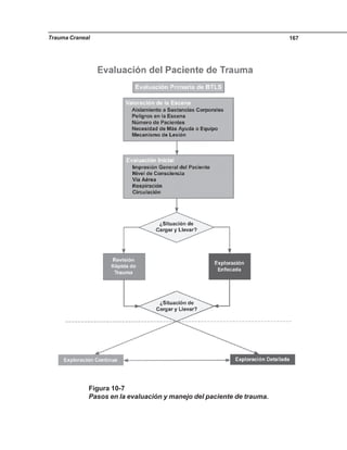 Trauma Craneal 167
Figura 10-7
Pasos en la evaluación y manejo del paciente de trauma.
 
