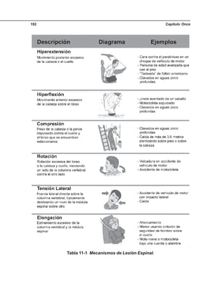 Capítulo Once182
Tabla 11-1 Mecanismos de Lesión Espinal.
 