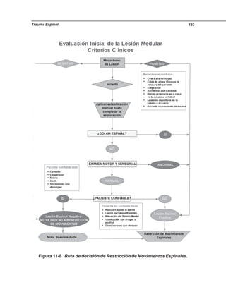 Trauma Espinal 193
Figura 11-8 Ruta de decisión de Restricción de Movimientos Espinales.
 