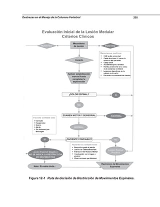 Destrezas en el Manejo de la Columna Vertebral 205
Figura 12-1 Ruta de decisión de Restricción de Movimientos Espinales.
 