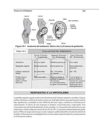 Trauma en el Embarazo 325
RESPUESTAS A LA HIPOVOLEMIA
Lapérdidasanguíneaagudaresultaenunadisminucióndelvolumensanguíneocirculante.Elgasto
cardiacodisminuyeconformeelretornovenosocae.Estahipovolemiacausaquelapresiónarterial
baje rápidamente, resultando en una inhibición del tono vagal y también en la liberación de
catecolaminas. El efecto de esta respuesta es producir vasoconstricción y taquicardia. Esta
vasoconstricción afecta profundamente al útero gestante. La vasoconstricción uterina lleva a una
reducción en el flujo sanguíneo uterino de un 20 a un 30%. La paciente embarazada puede perder
hasta 1,500 cc de sangre antes de que se note cualquier cambio detectable en la presión arterial de
lamadre.Elfetoreaccionaaestahipoperfusiónconunacaídaenlapresiónarterialyunadisminución
enlafrecuenciacardiaca.
Figura 19-1 Anatomía del embarazo: Utero a los 3 y 6 meses de gestación.
 