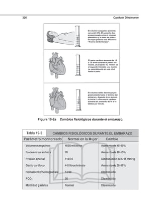 Capítulo Diecinueve326
Figura 19-2a Cambios fisiológicos durante el embarazo.
 