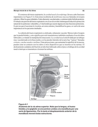 Manejo Inicial de la Vía Aérea 65
El comienzo del tracto respiratorio, lacavidadnasaly laorofaringe, llevan a cabo funciones
importantes (ver Figura 4-1). Estas áreas recubiertas de membranas mucosas húmedas sirven para
calentaryfiltrarlosgasesinhalados.Estánaltamentevascularizadasycontienentejidolinfoideprotector.
Elrebasarestaporcióndeltractorespiratorioconelusodeuntuboendotraquealreducirálaprotección
naturaldelospulmonesvulnerables,yUstedtendráqueasumiralgunasdeestasfuncionesprotectoras.
Esporesoqueelsuccionarlavíaaérea,asícomocalentaryhumidificarlosgases,sevuelvedesuma
importanciaenlospacientesintubados.
La cubierta del tracto respiratorio es delicada y altamente vascular. Merece todo el respeto
que le pueda brindar, y esto significa prevenir traumatismos indebidos mediante el uso de tubos
lubricados y evitando la manipulación innecesaria. La cavidad nasal está dividida por un tabique
muy vascularizado en la línea media y en las paredes laterales de la nariz hay “repisas” llamadas
cornetes,conchasnasalesoturbinas.Estasproyecciones,queaumentanlasuperficiedelamucosa,
pueden estar en contacto con los tubos u otros dispositivos que se inserten en las narinas. El
deslizamiento cuidadoso del bisel de un tubo bien lubricado sobre el piso o el tabique de la cavidad
nasalevitaráquesetraumaticenolesionenlasturbinas.
Figura 4-1
Anatomía de la vía aérea superior. Note que la lengua, el hueso
hioides y la epiglotis se encuentran unidos a la mandíbula por una
serie de ligamentos. Por lo tanto el desplazamiento anterior de la
mandíbula moverá éstas estructuras.
 