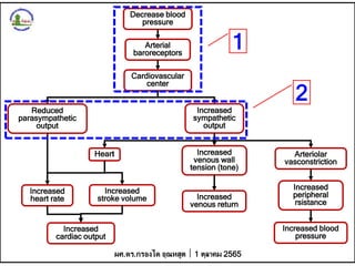 Decrease blood
pressure
Arterial
baroreceptors
Cardiovascular
center
Reduced
parasympathetic
output
Increased
sympathetic
output
Heart Arteriolar
vasconstriction
Increased
cardiac output
Increased
heart rate
Increased
venous wall
tension (tone)
Increased
venous return
Increased
peripheral
rsistance
Increased
stroke volume
Increased blood
pressure
ผศ.ดร.กรองได อุณหสูต 1 ตุลาคม 2565
1
2
 