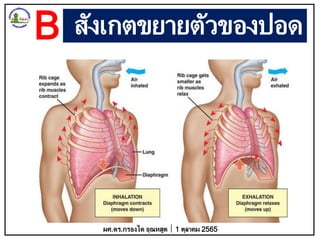 สังเกตขยายตัวของปอด
ผศ.ดร.กรองได อุณหสูต 1 ตุลาคม 2565
B
 