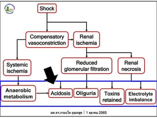 Shock
Compensatory
vasoconstriction
Renal
ischemia
Systemic
ischemia
Reduced
glomerular filtration
Anaerobic
metabolism
Ac...