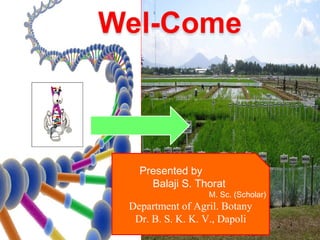 1
Presented by
Balaji S. Thorat
M. Sc. (Scholar)
Department of Agril. Botany
Dr. B. S. K. K. V., Dapoli
 