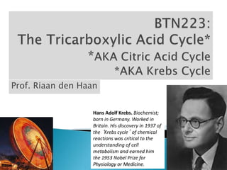 Prof. Riaan den Haan
Hans Adolf Krebs. Biochemist;
born in Germany. Worked in
Britain. His discovery in 1937 of
the ‘Krebs cycle’ of chemical
reactions was critical to the
understanding of cell
metabolism and earned him
the 1953 Nobel Prize for
Physiology or Medicine.
 