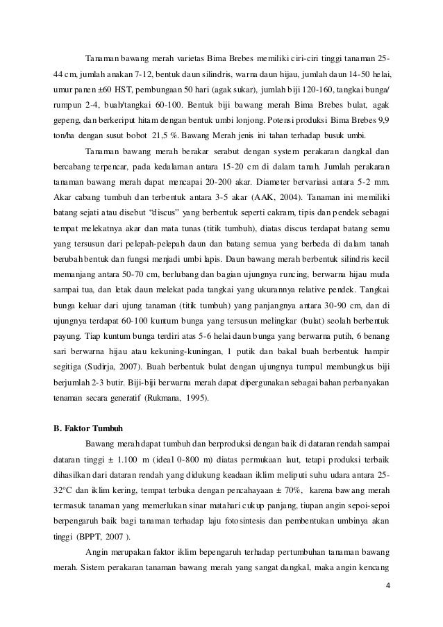 Makalah Bawang Merah